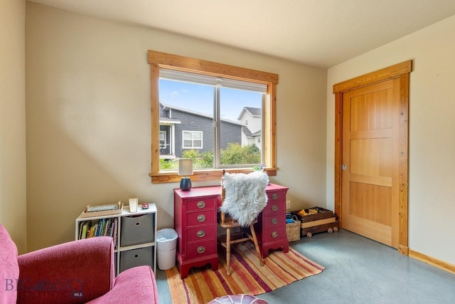 2060 Jacobs St, Bozeman, MT 59718 - photo 42