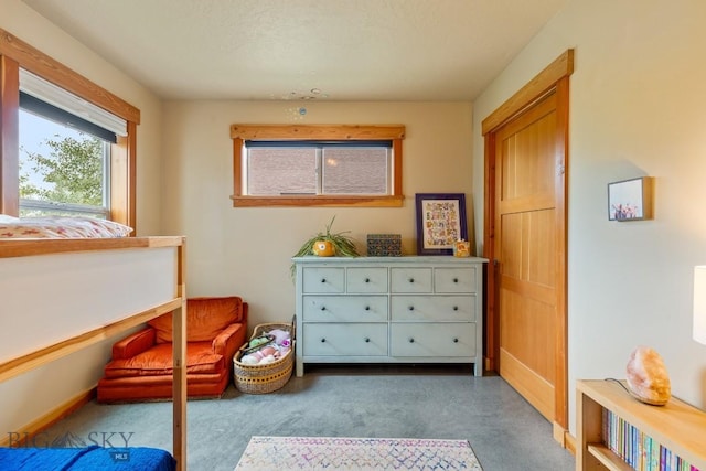 2060 Jacobs St, Bozeman, MT 59718 - photo 38