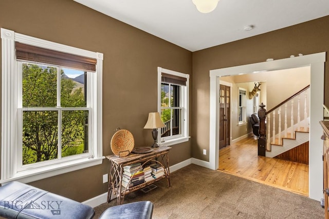 1921 E River Rd, Livingston, MT 59047 - photo 36