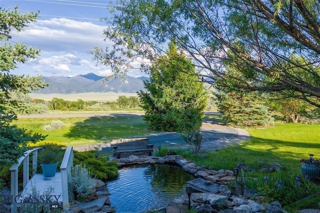 5301 Mt Highway 41 N, Silver Star, MT 59751 - photo 17