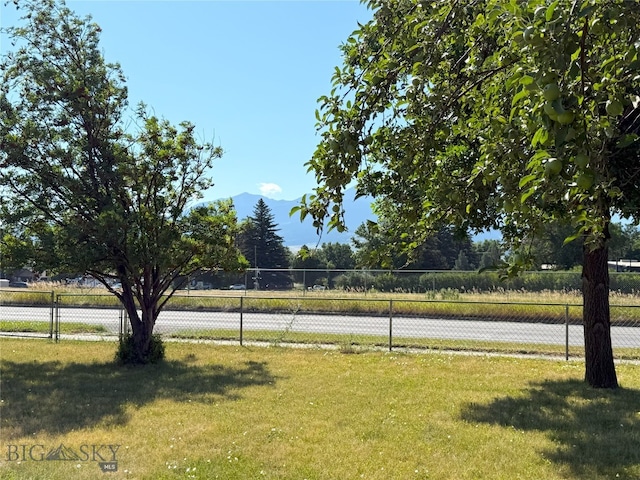 720 W Front, Livingston, MT 59047 - photo 29
