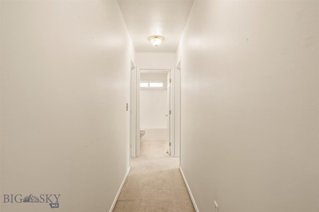 365 W River Rock Rd, Belgrade, MT 59714 - photo 20