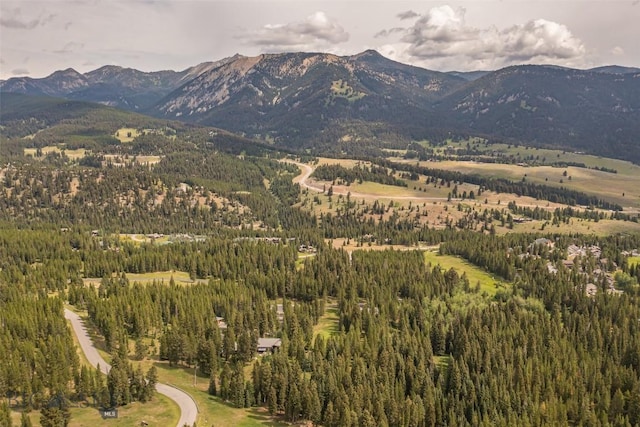 178 Pine Cone Ter, Big Sky, MT 59716 - photo 48