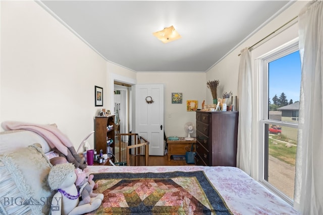 213 N 9th Ave N, Bozeman, MT 59715 - photo 7