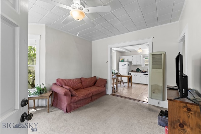 213 N 9th Ave N, Bozeman, MT 59715 - photo 18