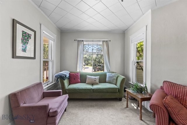 213 N 9th Ave N, Bozeman, MT 59715 - photo 19