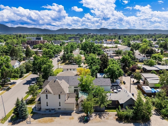 213 N 9th Ave N, Bozeman, MT 59715 - photo 60