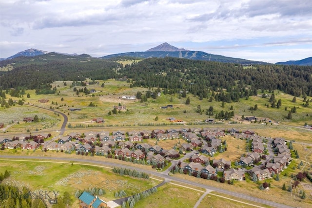 304 Firelight, Big Sky, MT 59716 - photo 44