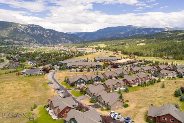 304 Firelight, Big Sky, MT 59716 - photo 47