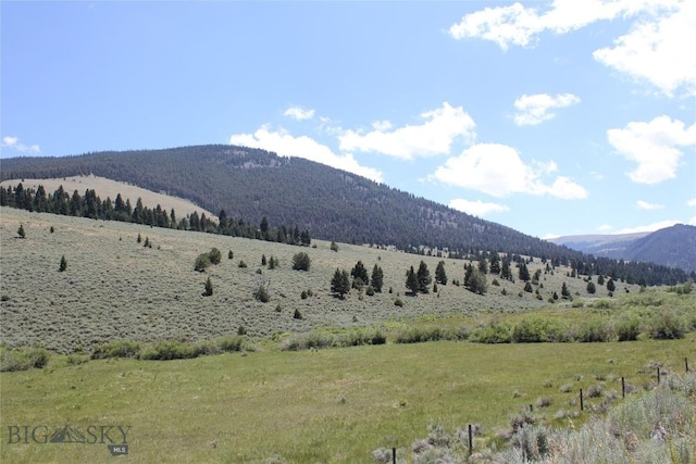 2647 Middle Fork Little Sheep Crk, Lima, MT 59739 - photo 4