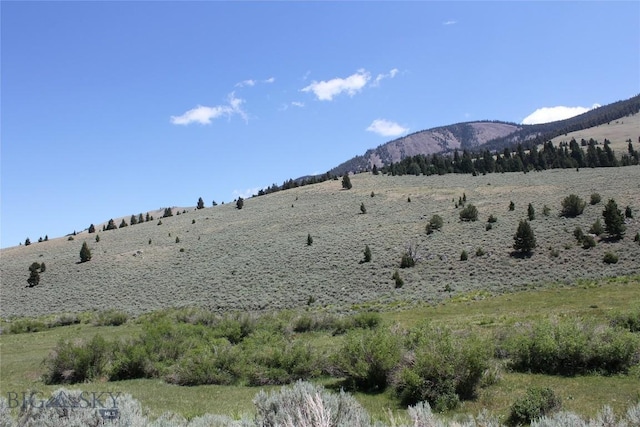 2647 Middle Fork Little Sheep Crk, Lima, MT 59739 - photo 5