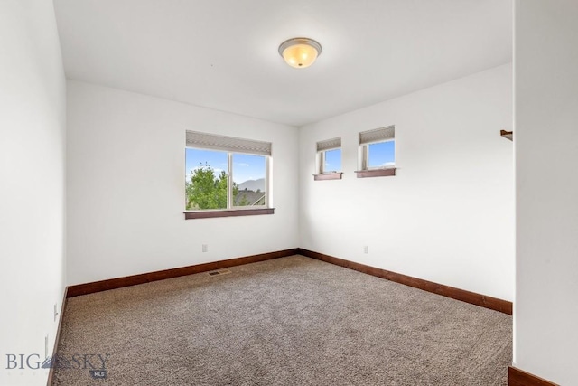 868 Jardine Ave, Bozeman, MT 59718 - photo 12