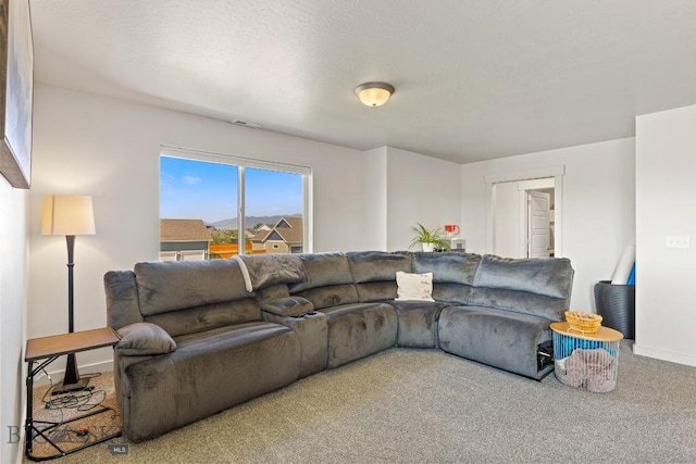 146 King Meadows Ln, Bozeman, MT 59718 - photo 37
