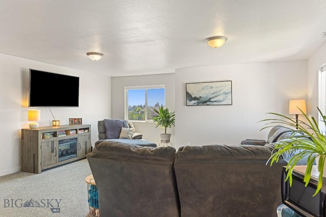 146 King Meadows Ln, Bozeman, MT 59718 - photo 39