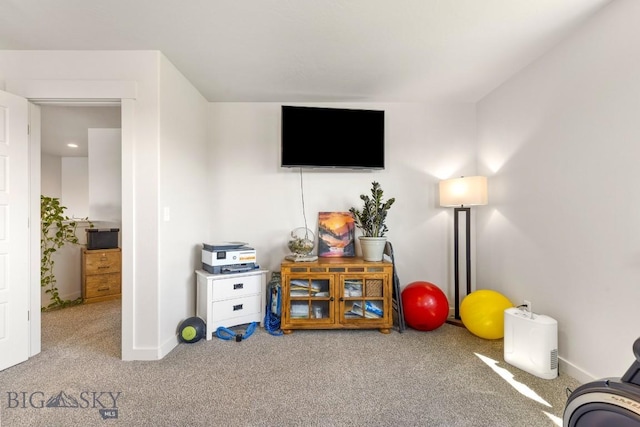 146 King Meadows Ln, Bozeman, MT 59718 - photo 46
