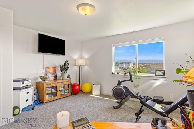 146 King Meadows Ln, Bozeman, MT 59718 - photo 47