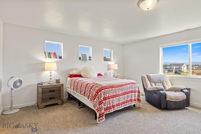 146 King Meadows Ln, Bozeman, MT 59718 - photo 48