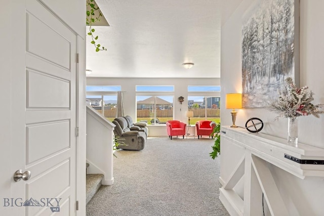 146 King Meadows Ln, Bozeman, MT 59718 - photo 10