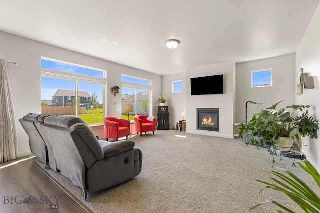 146 King Meadows Ln, Bozeman, MT 59718 - photo 15