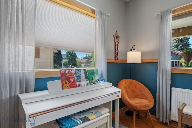1628 Lowell, Butte, MT 59701 - photo 9