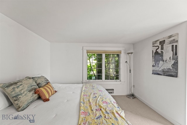 514 S 13th Ave, Bozeman, MT 59715 - photo 46