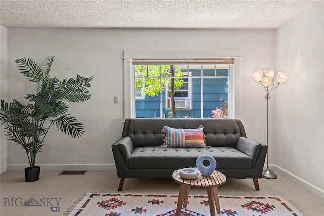 514 S 13th Ave, Bozeman, MT 59715 - photo 59