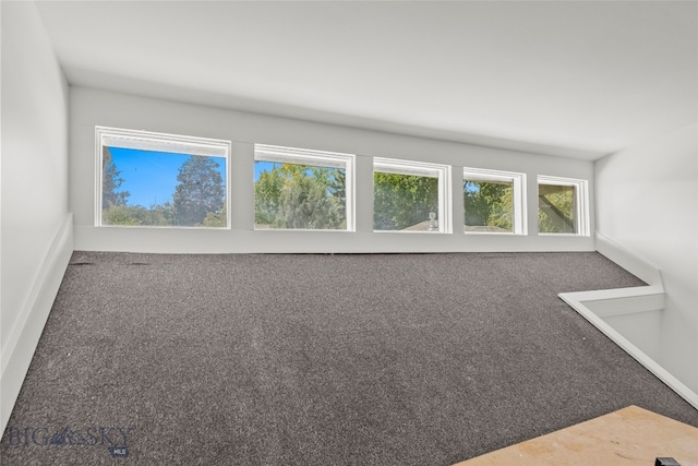 514 S 13th Ave, Bozeman, MT 59715 - photo 32