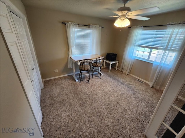 3716 Fairway Dr, Great Falls, MT 59401 - photo 9