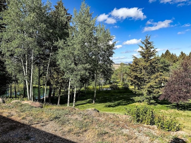 4 Pine Hill Dr, White Sulphur Springs, MT 59645 - photo 51