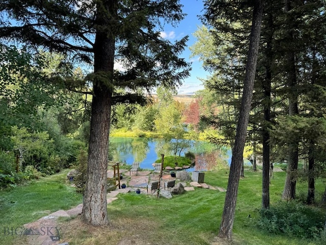4 Pine Hill Dr, White Sulphur Springs, MT 59645 - photo 3