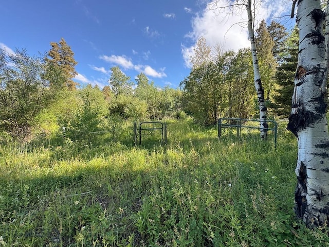 4 Pine Hill Dr, White Sulphur Springs, MT 59645 - photo 96