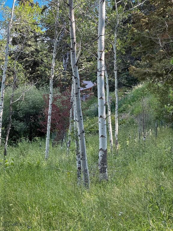 4 Pine Hill Dr, White Sulphur Springs, MT 59645 - photo 97