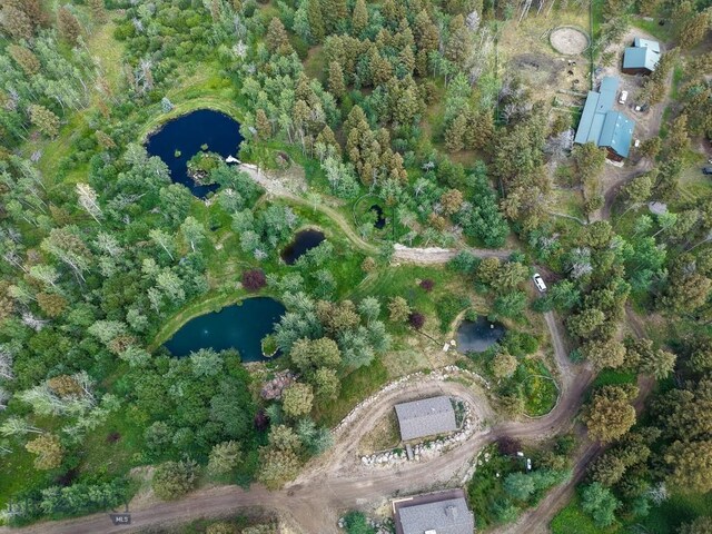 4 Pine Hill Dr, White Sulphur Springs, MT 59645 - photo 99