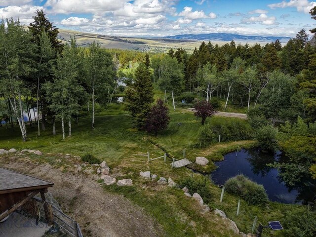 4 Pine Hill Dr, White Sulphur Springs, MT 59645 - photo 74