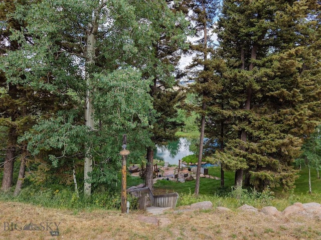 4 Pine Hill Dr, White Sulphur Springs, MT 59645 - photo 100