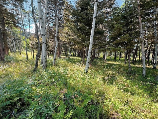 4 Pine Hill Dr, White Sulphur Springs, MT 59645 - photo 52