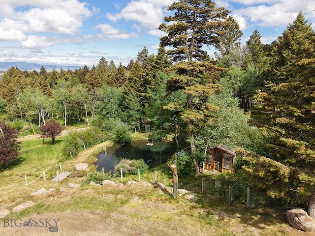 4 Pine Hill Dr, White Sulphur Springs, MT 59645 - photo 56