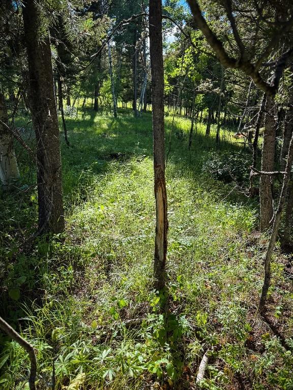 4 Pine Hill Dr, White Sulphur Springs, MT 59645 - photo 58