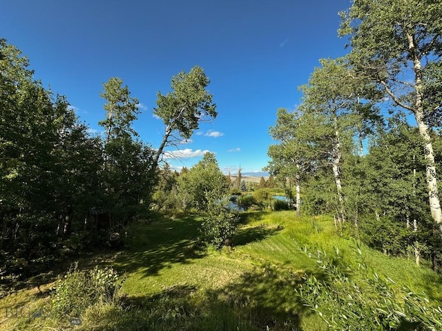 4 Pine Hill Dr, White Sulphur Springs, MT 59645 - photo 65