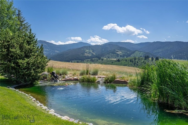 585 Wildrose Ln, Bozeman, MT 59715 - photo 53