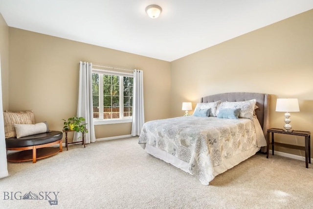 221 Morgan Creek Ln, Bozeman, MT 59718 - photo 19