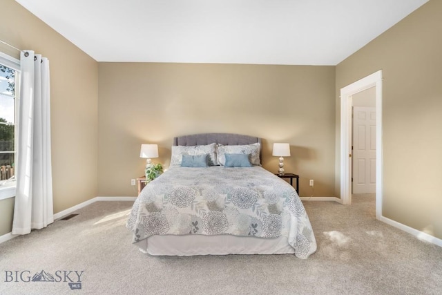 221 Morgan Creek Ln, Bozeman, MT 59718 - photo 20