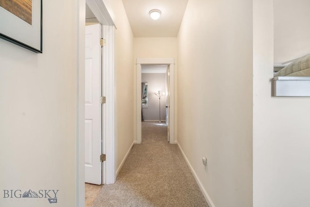 221 Morgan Creek Ln, Bozeman, MT 59718 - photo 30