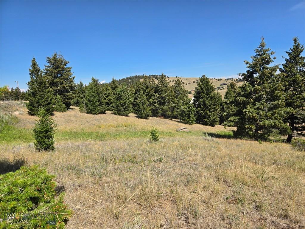 LOT84 Chalet, Butte, MT 59701 - photo 1