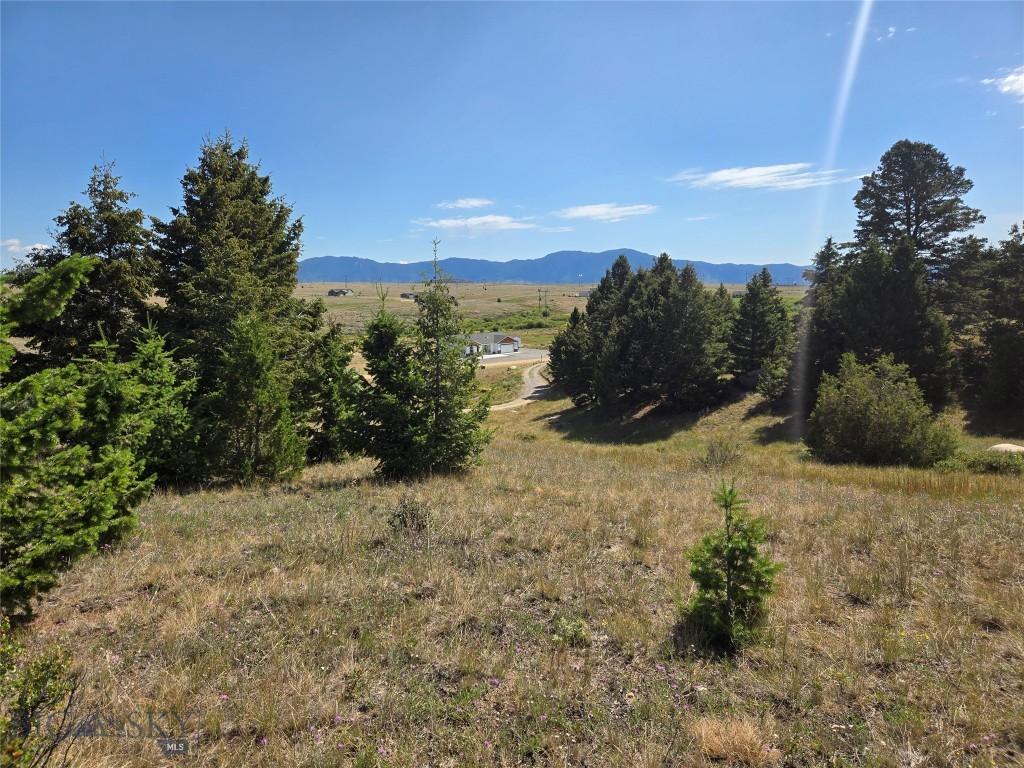 LOT84 Chalet, Butte, MT 59701 - photo 2