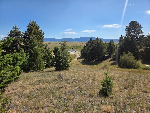 LOT84 Chalet, Butte, MT 59701 - photo 2