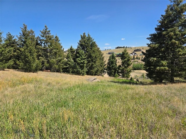 LOT84 Chalet, Butte, MT 59701 - photo 3