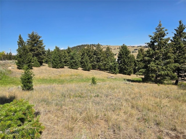 LOT84 Chalet, Butte, MT 59701 - photo 4