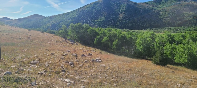 309 Bear Paw Trl, Anaconda, MT 59711 - photo 25