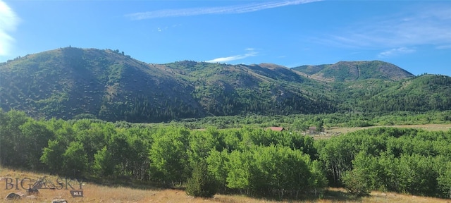 309 Bear Paw Trl, Anaconda, MT 59711 - photo 26
